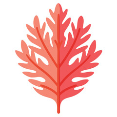 coral-leaf-isolated-on-white-background
