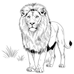 A realistic black-and-white hand-drawn sketch of a lion standing tall with a full mane and strong muscular build. The illustration captures the animal's natural anatomy and regal presence
