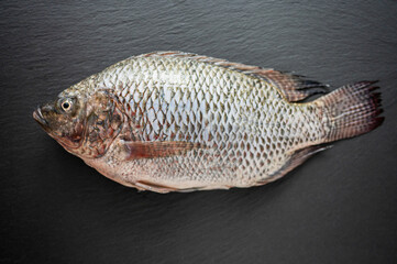 Fresh mojarra fish lying on dark grey slate