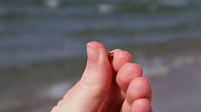 A close-up of fingers holding a tiny piece of amber found on a beach. The Baltic Sea waves are blurred in the background, emphasizing the natural beauty of the amber.