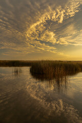 Clouds