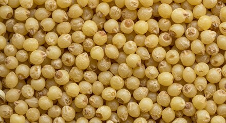 Close-Up of Raw Millet Grains: A Detailed View of Golden Millet Seeds