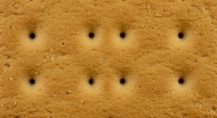 Close-up of a Graham Cracker's Texture