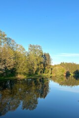 Vantaa river and reflection of the trees in Helsinki