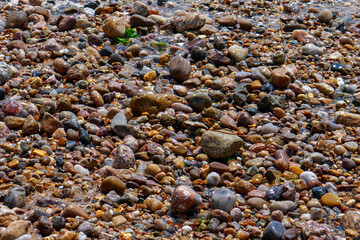 galets mouillés en bord de mer