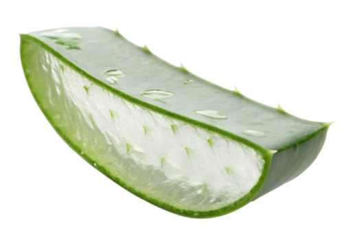 aloe-vera-slice isolated on white background png, ai generated