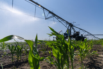 Autonomous machine is moving watering pivot along irrigation canal
