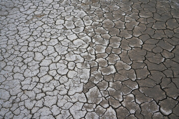 Cracked Earth Surface with Gray Texture and Dry Mud, Desert Landscape