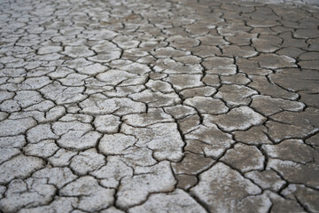 Cracked Earth Surface with Gray Texture and Dry Mud, Desert Landscape