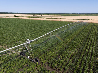 Aerial view of agricultural watering pivot irrigation system on a corn field