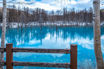 Blue pond, popular landmark in Biei town, Hokkaido, Japan, blue clear water with peaceful environment under cloudy blue sky in late winter season