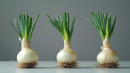 Three fresh, young onions with green shoots, roots intact, arranged in a row on a neutral background.