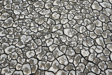 Cracked Earth Surface with Gray Texture and Dry Mud, Desert Landscape
