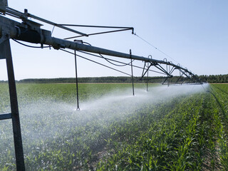 Agricultural pivot irrigation system on a corn field