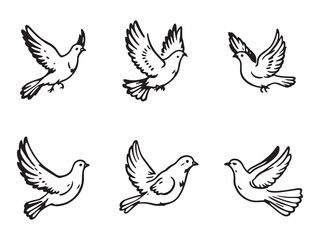 Dove Flying Bird Outline Drawing