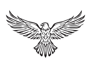 Obraz premium Eagle outline drawing