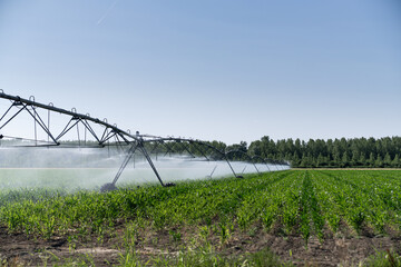 Agricultural pivot irrigation system on a corn field