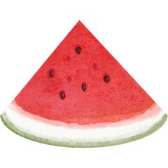 Watermelon illustration 