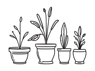 Flower pot outline drawing