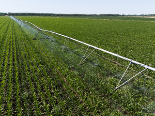 Aerial view of agricultural watering pivot irrigation system on a corn field