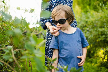 Cute teenage sister and her little brother picking fresh berries on organic blueberry farm on warm...