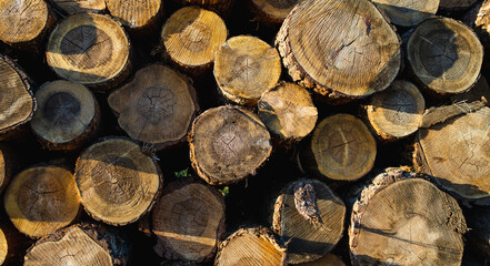 Dry chopped firewood logs stacked up on top of each other in a pile