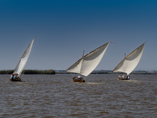 Latin sailing competition held on June 7, 2025 in the Albufera Natural Park of Valencia (Spain)