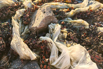 Plastic waste and garbage scattered near the seashore among the rocks. The scene highlights...