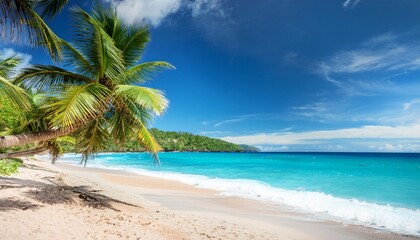 a beautiful beach with palm trees and a blue ocean