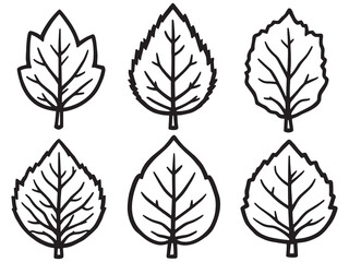 Fototapeta premium Minimal Leaf Outline Illustration
