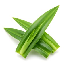 Aromatic Pandan Leaves: Vivid capture of fresh, green pandan leaves, celebrated for culinary and aromatic applications. Highlighting the vibrant hues and distinct texture of this tropical herb.
