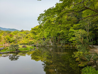 Views From Japan Nara
