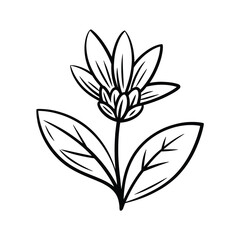 Potted Houseplant Line Art Icon Vector