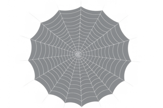 Intricate spiderweb forming a circular pattern on a transparent background, ideal for halloween or spooky designs