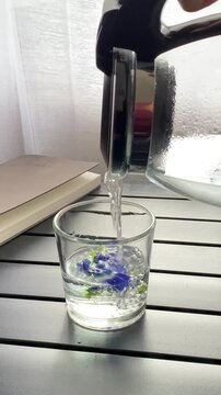 Woman's hand pouring butterfly pea flower tea into a cup. Butterfly pea flower tea. Herbal tea. Exotic blue tea that helps lose weight.