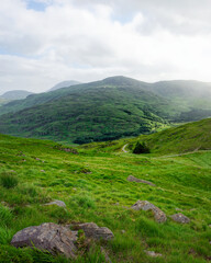 Rolling green hills covered in grass and rocks lead to forested mountains under a cloudy sky. A...