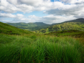Fototapeta premium Lush green grass fills the foreground, with rolling green hills and mountains in the background. Patches of blue sky are visible amongst the white clouds above the scenic Gap of Dunloe.