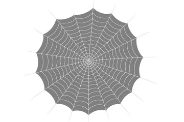 Obraz premium Delicate spiderweb casting symmetrical, gossamer patterns against translucent surface, echoing haunting seasonal design motifs