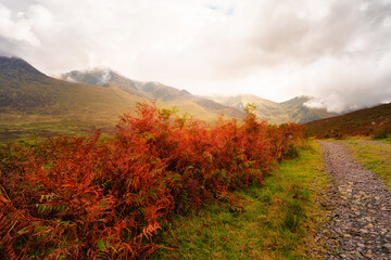 A walking path extends across a valley beneath Carrauntoohil in County Kerry, Ireland. Vibrant autumn foliage borders the path, while clouds hang low around the mountain peaks.