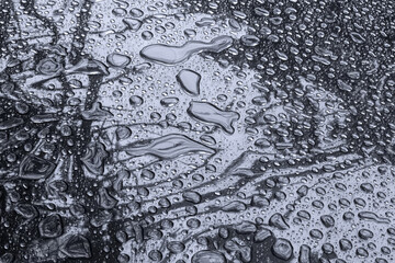 Water drops on a black and white