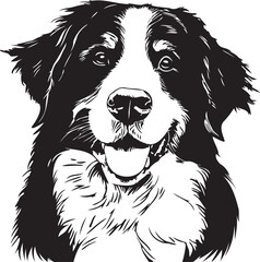 bernese mountain dog portrait