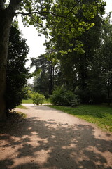 Fototapeta premium Italian forest walking path