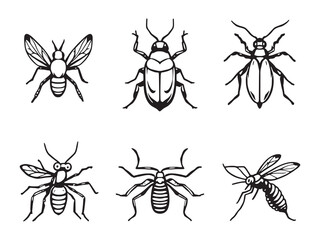 Insects Line Art Illustration