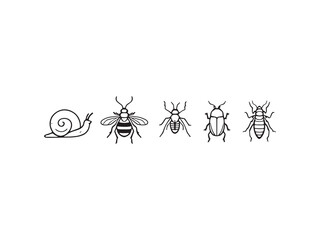 Simple Insect Line Drawing