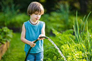 Cute little boy watering flower beds in the garden at summer day. Child using garden hose to water...