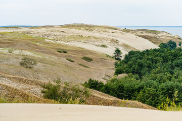 Rolling sand dunes meet green forest at the Curonian Spit in Lithuania, creating a stunning contrast of natural landscapes by the Baltic Sea.