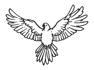 Minimalist Macaw Black Line Drawing