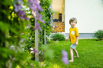 Adorable little boy having fun outdoors on sunny summer day. Kid running outdoors. Child exploring nature. Summer activities for kids.