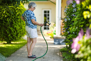 Mature woman holding hose nozzle watering flowers in a garden on sunny summer day.