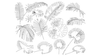 Tropical Palm and Monstera Leaf Bundle